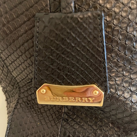 Limited Edition Burberry Python Tote - Picture 9 of 10
